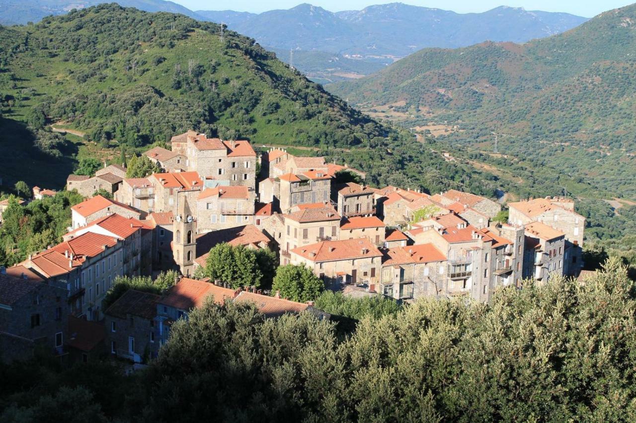 Studio Le Petit Nid D'Amour Meuble Tourisme 3 Etoiles Poggio Santa-Lucia-di-Tallano Exterior photo