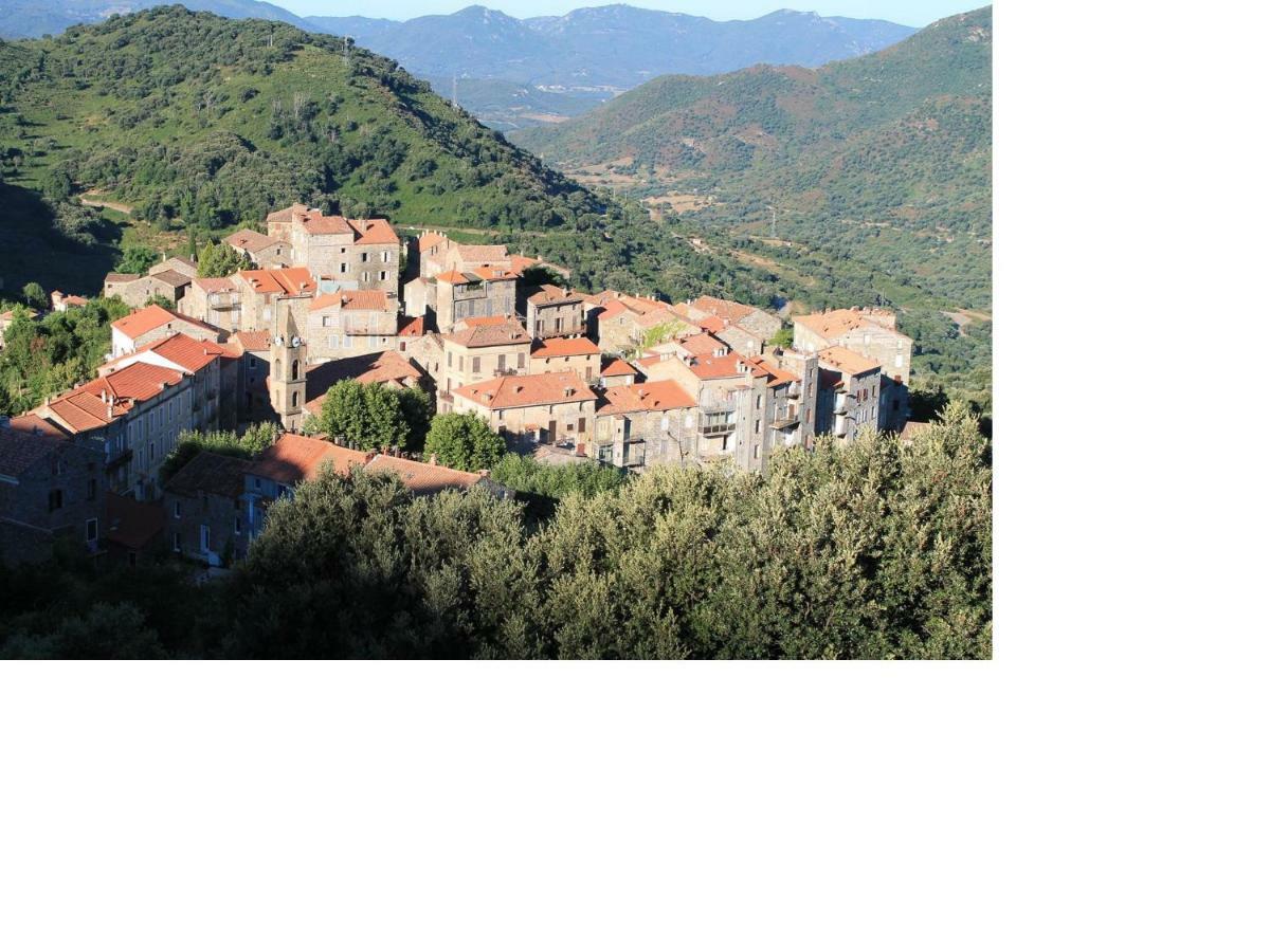 Studio Le Petit Nid D'Amour Meuble Tourisme 3 Etoiles Poggio Santa-Lucia-di-Tallano Exterior photo